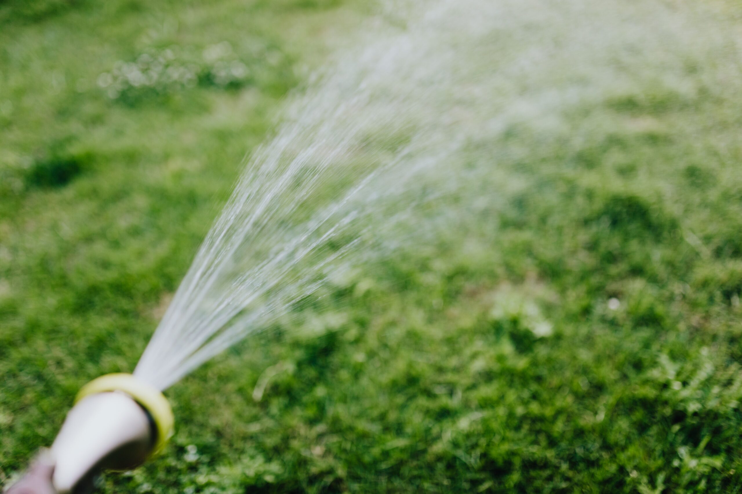 Why Weed Control & Pest Control Go Hand in Hand